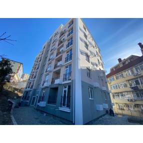 компактная тудия